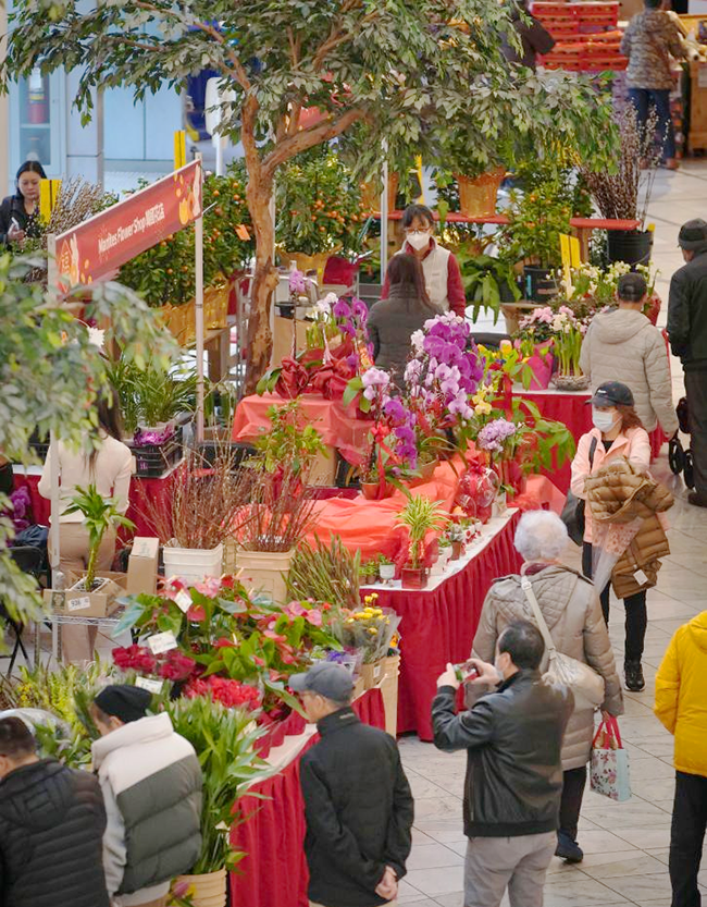 北美迎接兔年农历新年 2.png