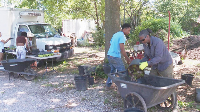 US sees dwindling number of African American farmers amid racial, economic disparities.jpg