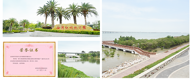 图片16.png 图片16.png