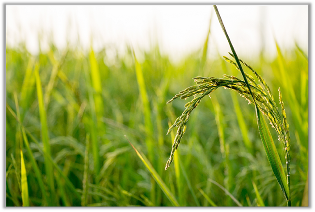 图片17.png 图片17.png