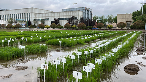 3版图2.jpg 3版图2.jpg