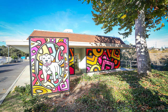 2,洛杉矶县参加八月宠物收养特别推广活动.jpg 2,洛杉矶县参加八月宠物收养特别推广活动.jpg