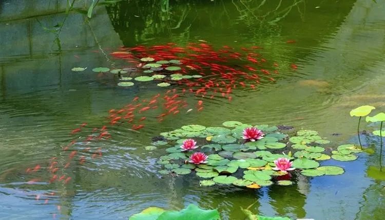 公园里的烟台 3.jpg