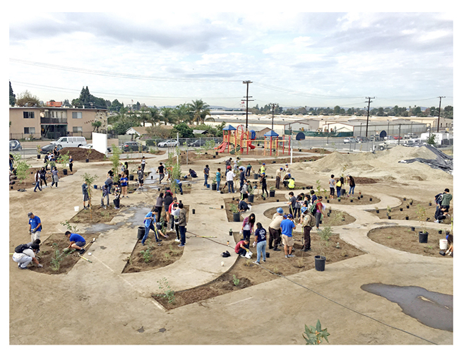 1,头条 加州学校将多种植树木,减少沥青.jpg 1,头条 加州学校将多种植树木,减少沥青.jpg