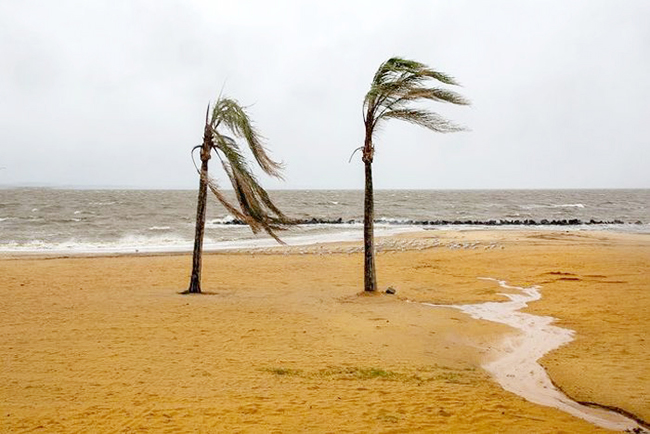 7,热带风暴“奥费莉娅”席卷美国东海岸.jpg 7,热带风暴“奥费莉娅”席卷美国东海岸.jpg