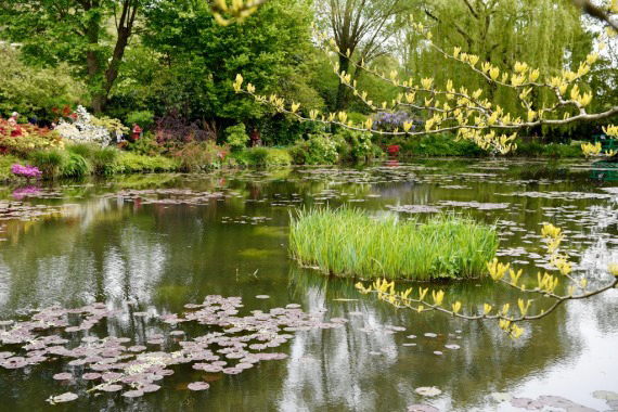 3,莫奈罕見畫作將拍賣.jpg 3,莫奈罕見畫作將拍賣.jpg