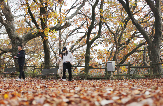 3,韓國青年人口2050年減半.jpg 3,韓國青年人口2050年減半.jpg