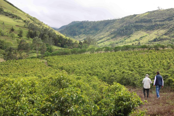 4,哥倫比亞海軍旗艦助力國家形象推廣.jpg 4,哥倫比亞海軍旗艦助力國家形象推廣.jpg
