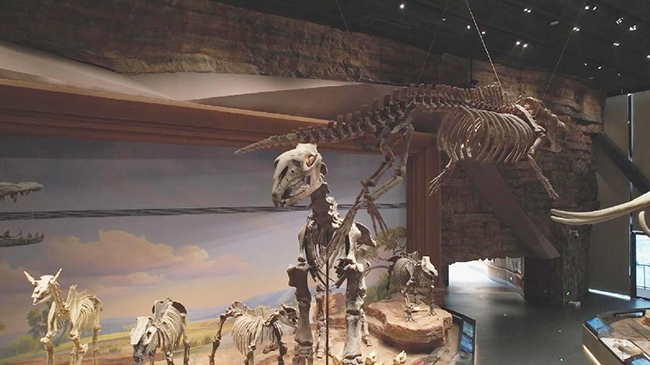New paleozoological museum ofChina opens.jpg