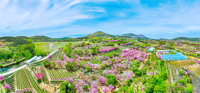 图3 - 复件(2).jpg 图3 - 复件(2).jpg