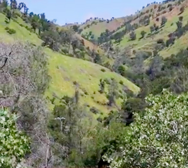 National Monument Expansions Bring California Closer to Conservation Milestone.jpg