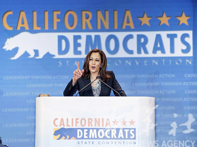 美国副总统哈里斯正式锁定民主党总统候选人提名.jpg 美国副总统哈里斯正式锁定民主党总统候选人提名.jpg