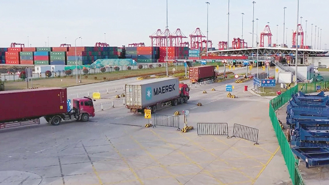 Cross-border e-commerce thrives in Qingdao amid summer economic boost.jpg