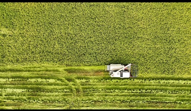 IMG_2139.jpg IMG_2139.jpg