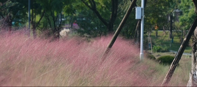 IMG_2464.jpg IMG_2464.jpg