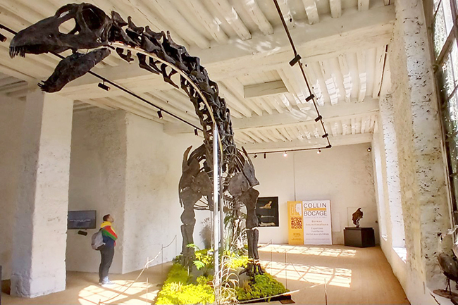 7,法国拍卖巨型恐龙骨架标本.jpg 7,法国拍卖巨型恐龙骨架标本.jpg