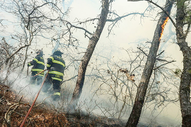 2,美媒:林火蔓延,纽约州进入紧急状态.jpg 2,美媒:林火蔓延,纽约州进入紧急状态.jpg