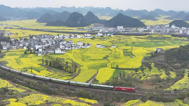Spring blooms boost tourism in China.jpg