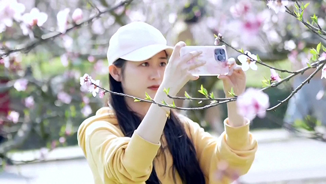 Floral tourism blossoms in Qingdao as spring arrives.jpg
