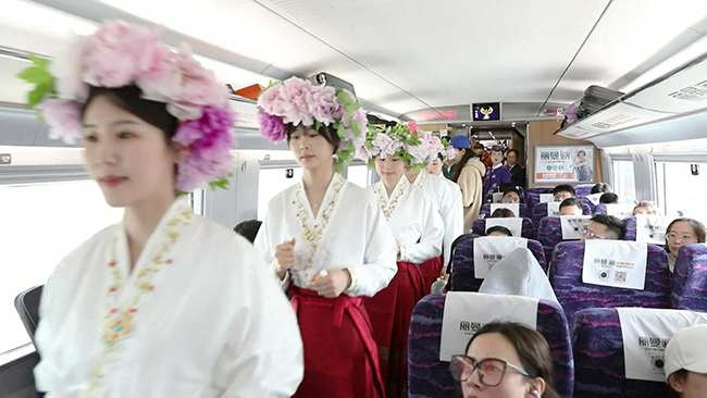 2,青岛出发,赏花专列前往中国牡丹之都菏泽.jpg 2,青岛出发,赏花专列前往中国牡丹之都菏泽.jpg