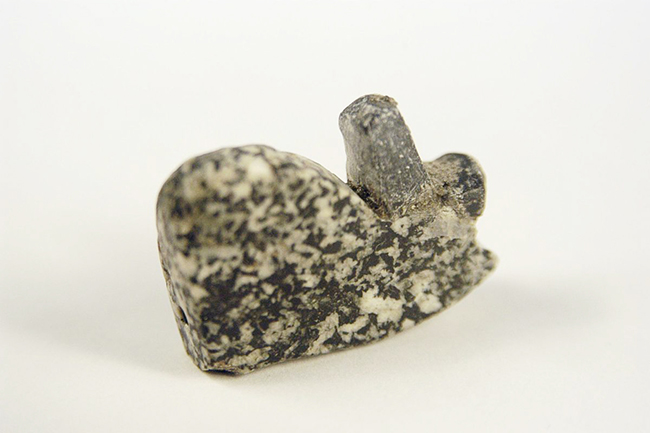 3,埃及从澳大利亚追回21件流失文物.jpg 3,埃及从澳大利亚追回21件流失文物.jpg