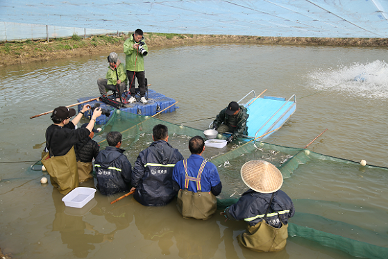 图片3.png 图片3.png