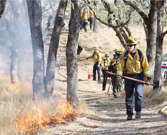 加州额外拨款7200万美元降低野火风险.jpg 加州额外拨款7200万美元降低野火风险.jpg