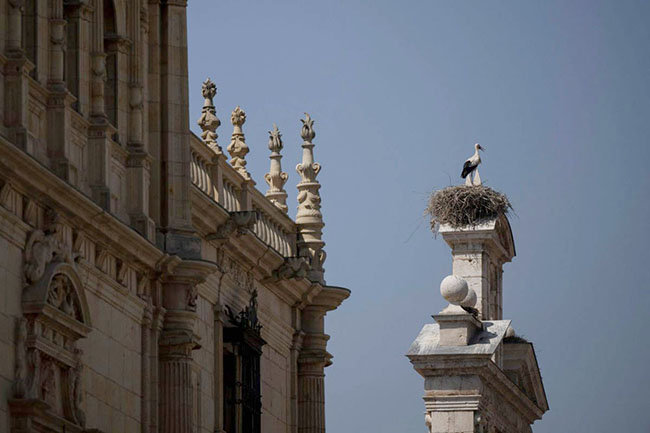 3,西班牙“高考”开始!.jpg 3,西班牙“高考”开始!.jpg