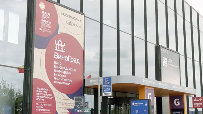 Digitalized trade to create new opportunities for China-Russia cooperation.jpg