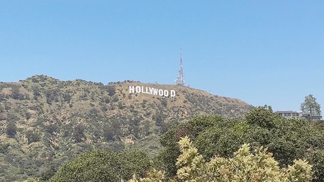 1，头条 加州凶杀率创 1966 年以来第二低.jpg