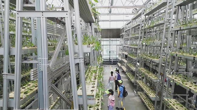 China sees travel boom as summer vacation kicks off.jpg