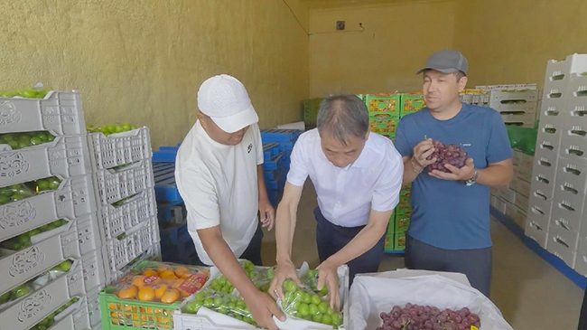 SCO markets develop growing taste for Chinese fresh produce.jpg SCO markets develop growing taste for Chinese fresh produce.jpg