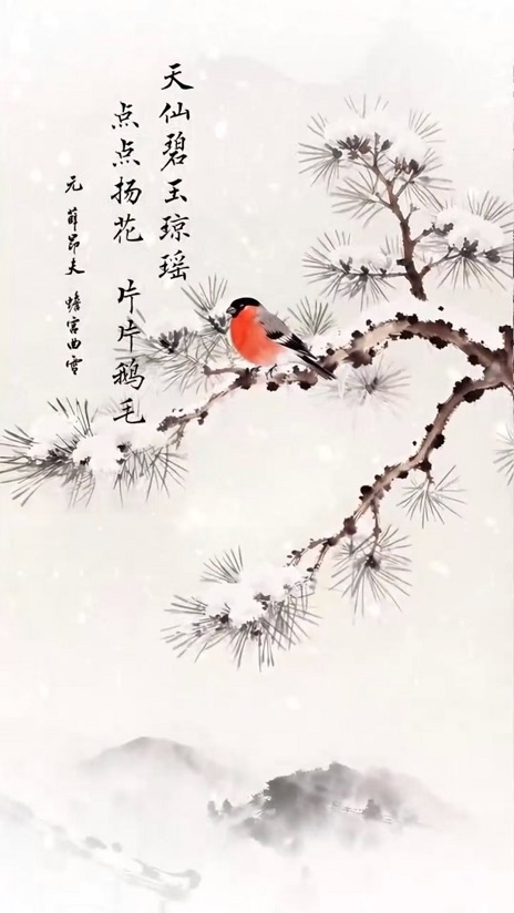 图片3.jpg 图片3.jpg