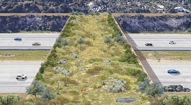 1,头条 加州拨款 6,000 万美元助力生物多样性.jpg 1,头条 加州拨款 6,000 万美元助力生物多样性.jpg