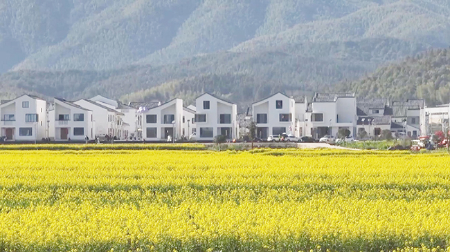 2,中国春季“花经济”催生消费新模式.jpg 2,中国春季“花经济”催生消费新模式.jpg