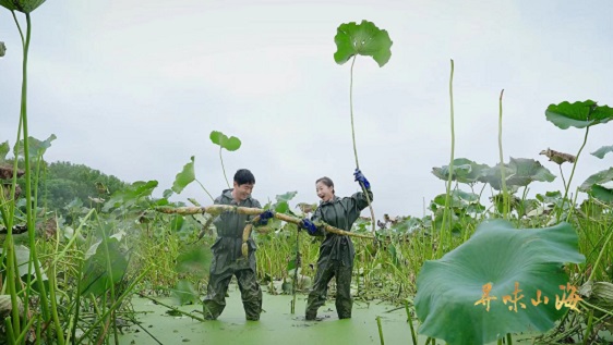 图片2.jpg 图片2.jpg