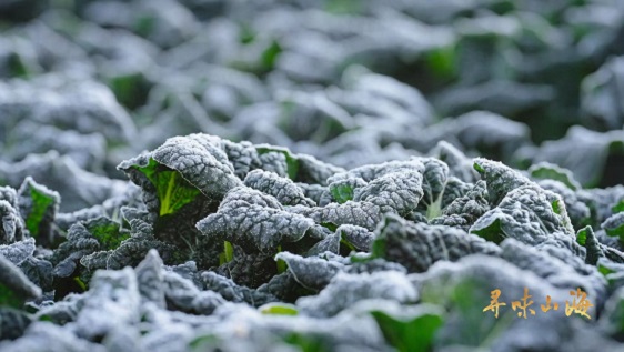 图片3.jpg 图片3.jpg