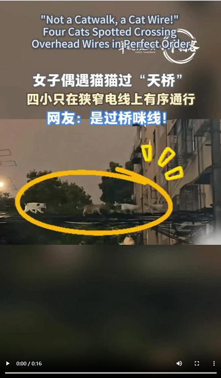1.png 1.png