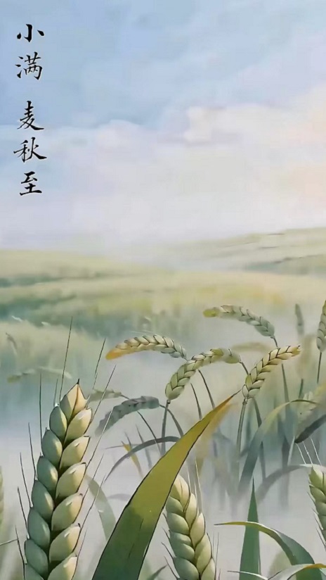 图片2.jpg
