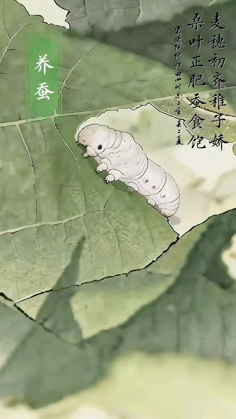 图片3.jpg