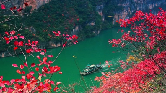 图片2.jpg