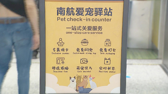 1,头条 中国宠物航班顺利起航.jpg 1,头条 中国宠物航班顺利起航.jpg