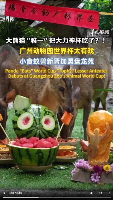 1.jpg 1.jpg