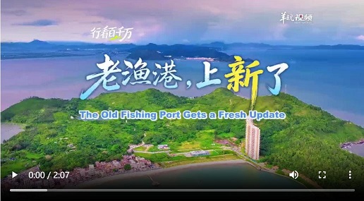 6.jpg 6.jpg