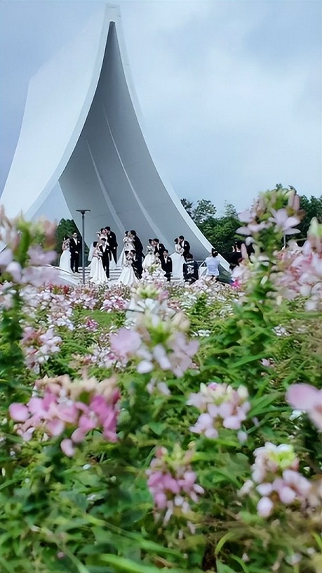 3.jpeg